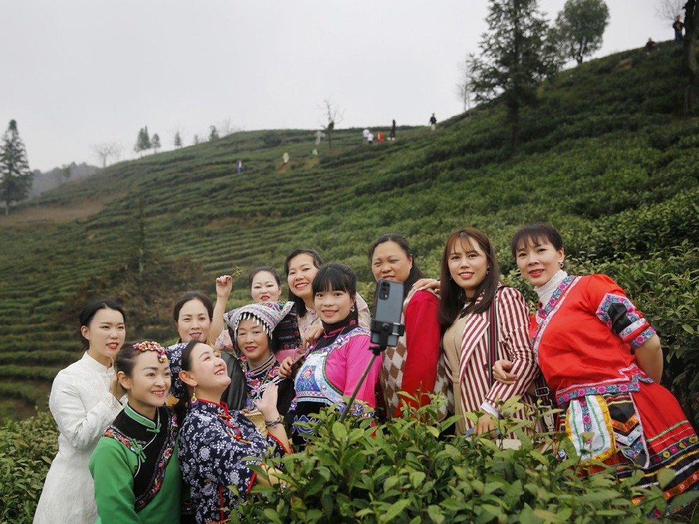秉承“生態(tài)法則” 制作都勻毛尖-貴州日報關(guān)注蒙阿妹茶業(yè)