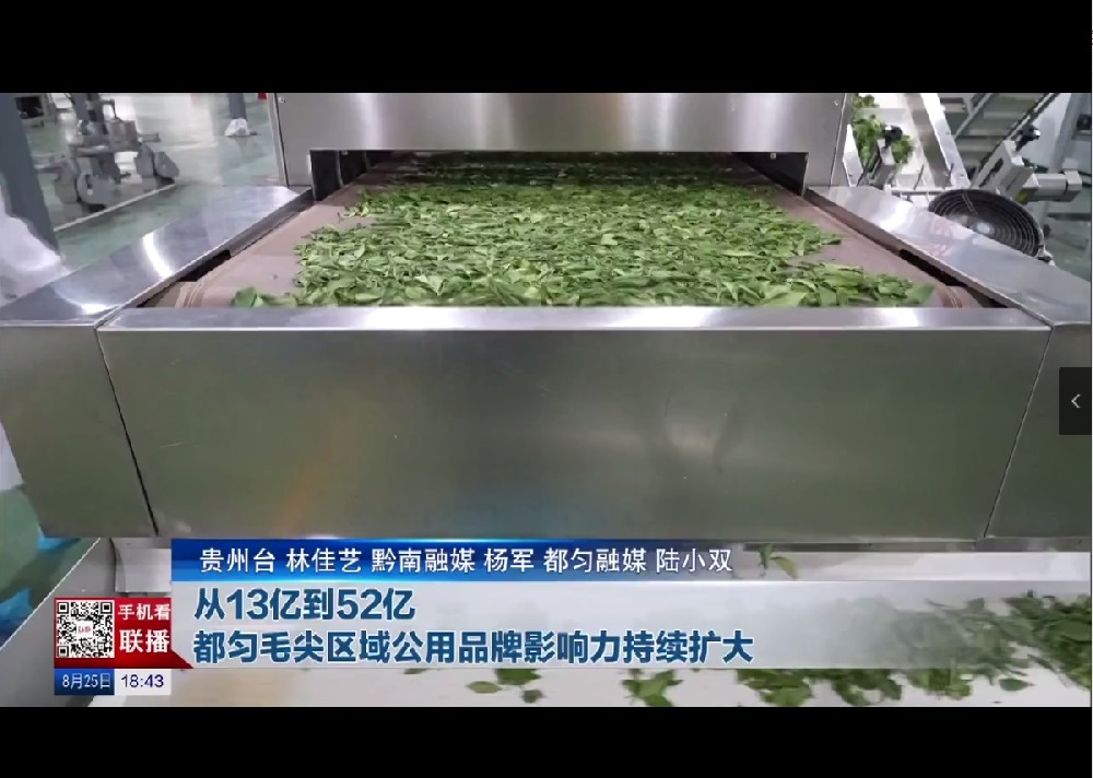 貴州新聞聯(lián)播：從13億到52億，都勻毛尖區(qū)域公用品牌影響力持續(xù)擴(kuò)大